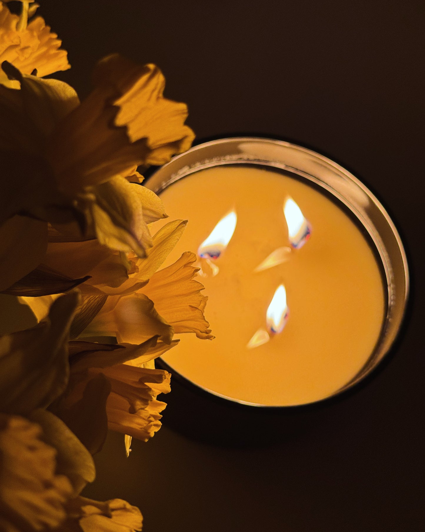 3 Wick Candle Glossy Black